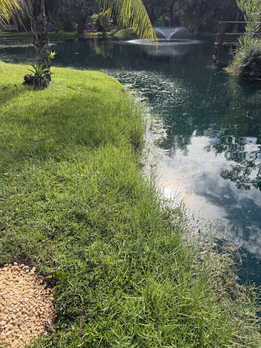Freshly mowed grass edge along a tranquil pond with a fountain